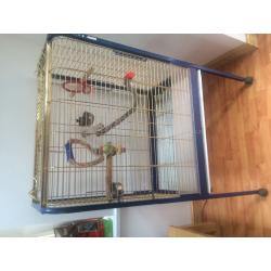 Bird/ parrot cage