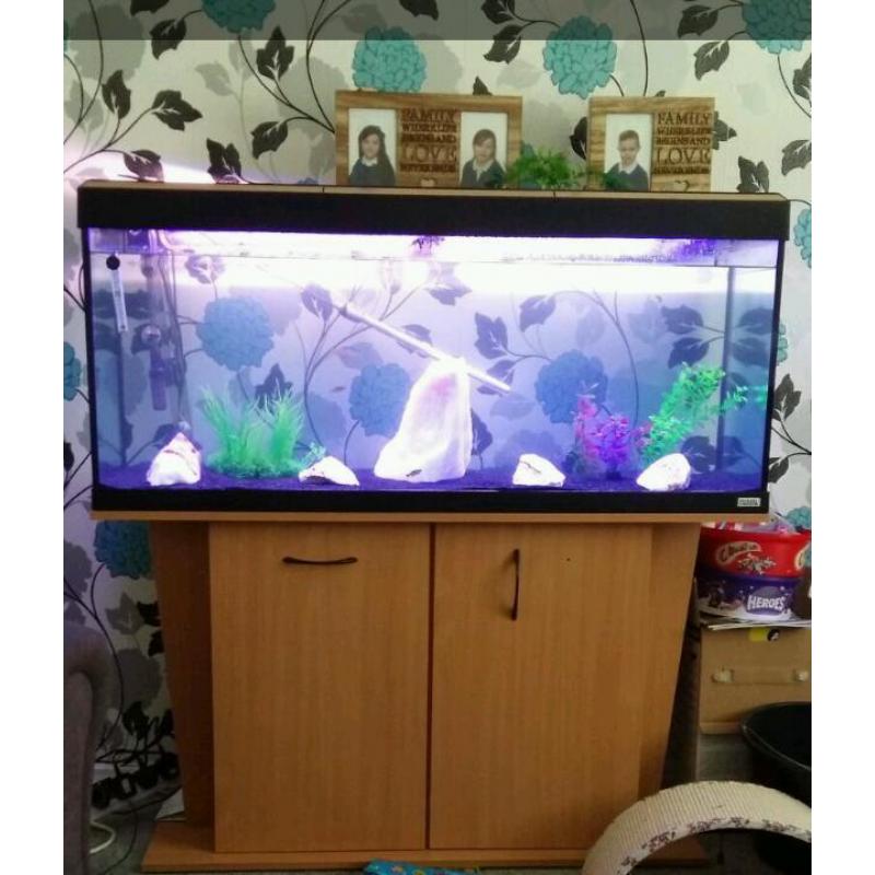 4ft fluval fish tank and stand