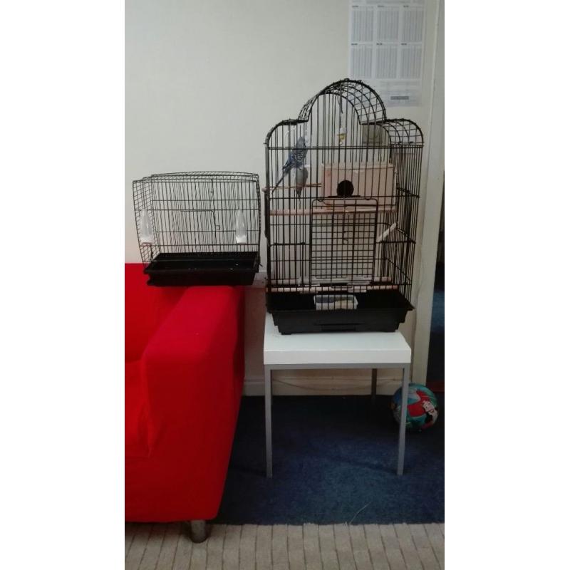 Two bird cage for sale with two lovely budgie birds and nest