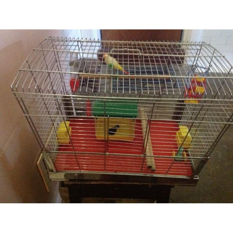 Budgie cage with lots of accessories