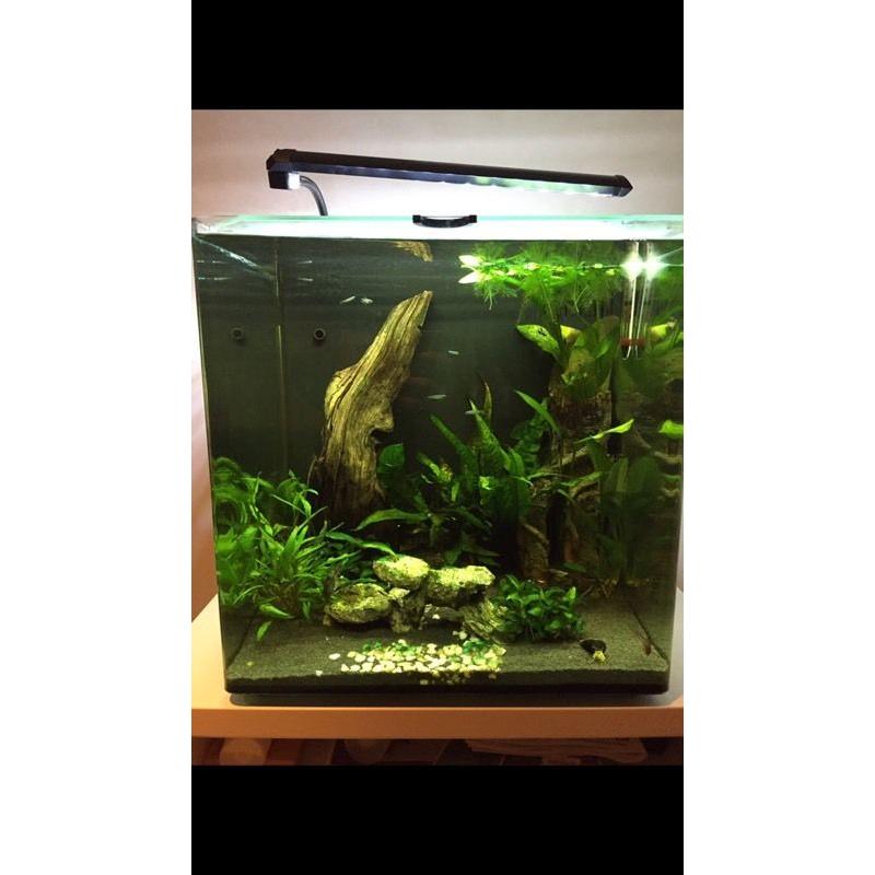Square FISH TANK (lots of extras)