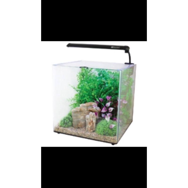 Square FISH TANK (lots of extras)