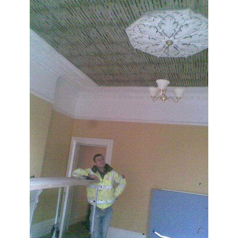 Plastering Services & More