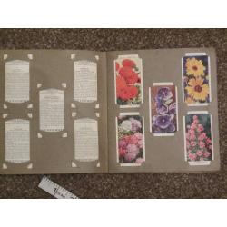 Wills cigarette flowers -picture card album - 49 cards