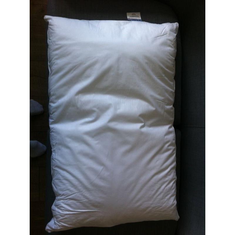 2 x brand new pillows