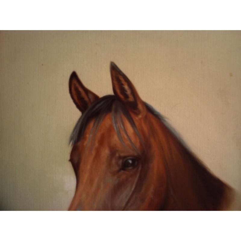 painting of a horse on a canvas