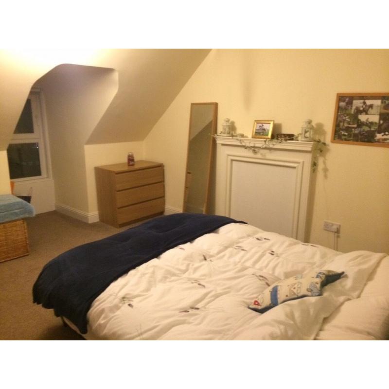 Double room available from 30th of August