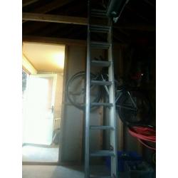 Youngman 100, 3 section, 24 rung ladder