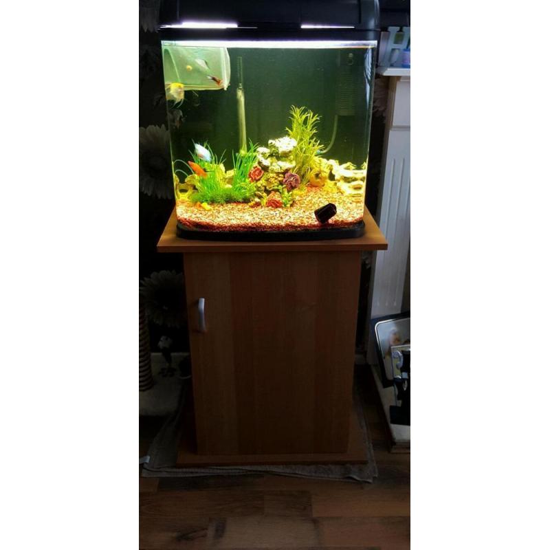 Tropical fish tank and stand