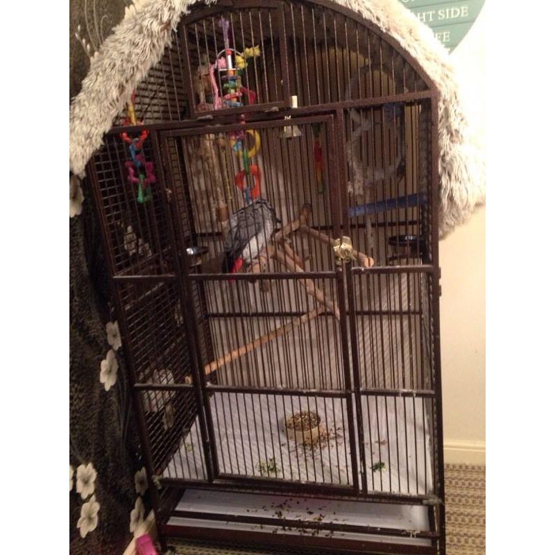 Large macaw cage excellent condition! Collection only