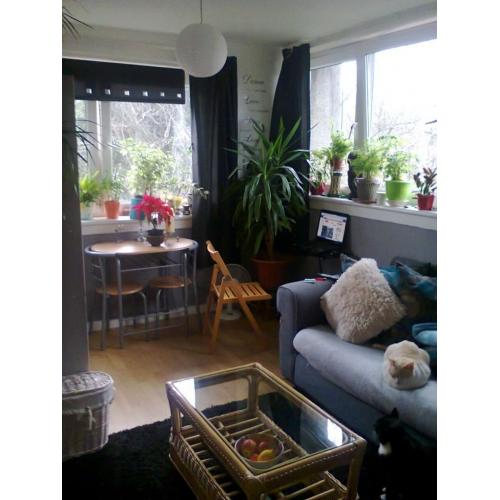1bed flat for exchange only looking for 1 bed