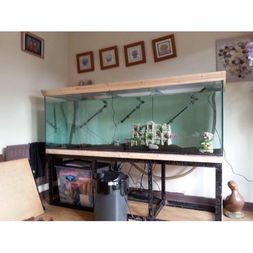 6x2x2ft rare size fish tank, stunning, close offers considered
