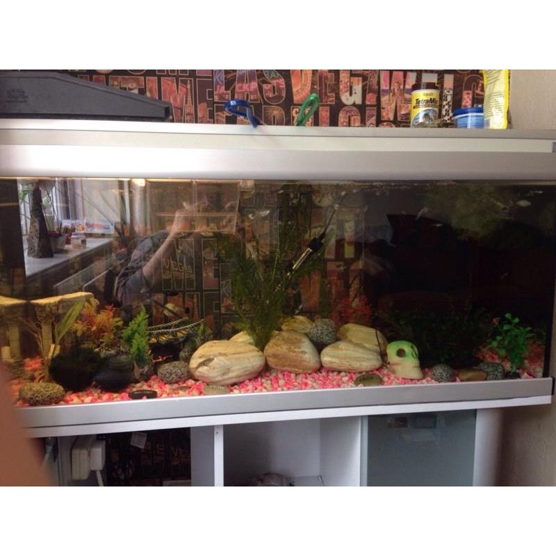 200 litrefish tank with stand full setup with fish
