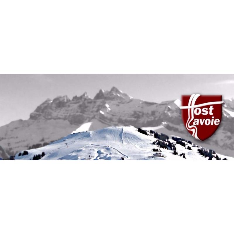 Ski Season Chalet Staff Sought - Hosts, Assistants and a Team Leader! ( Morzine, France)