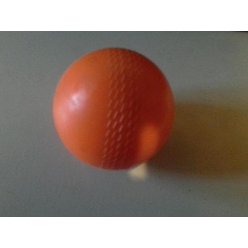 Cricket Ball Practice ball