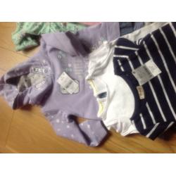 Next 12-18 month girls clothes bundle