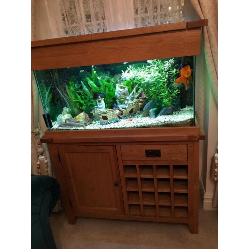 Aquarium tank with 6 large fish