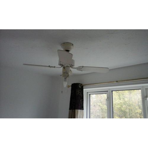 Indoor rotary fan with light